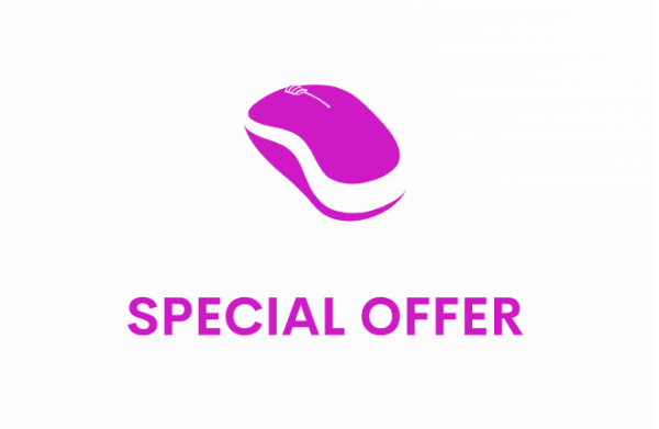 10 Website Bundles