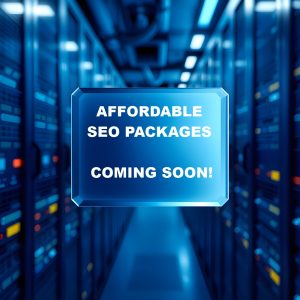 1 Year SEO Package