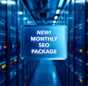 MONTHLY SEO PACKAGE